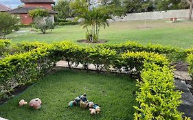 Winterville Gravata Flat Lindo